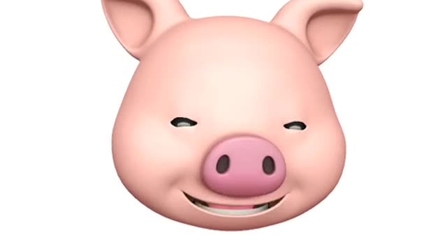 Iphone pig memoji