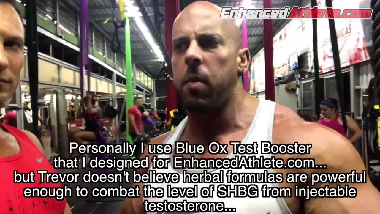 Increasing Free Testosterone On TRT and Steroids