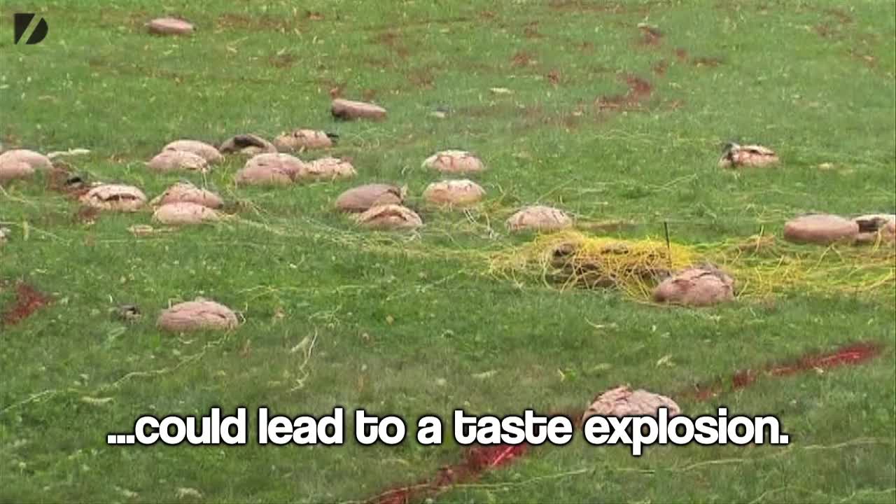 Exploding Bread