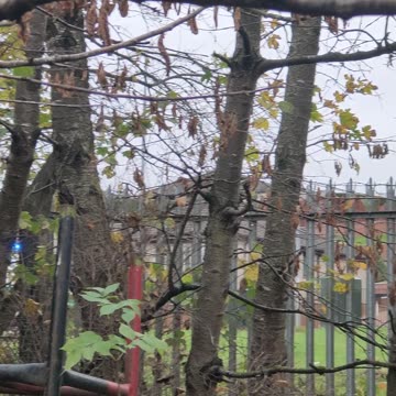 Emergency service respond Scotland