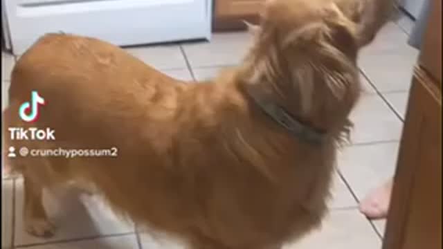 Let me help you🤩💕