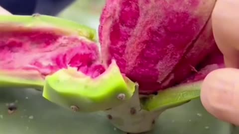 Amazing Benefits of Prickly Pear (Cactus Fruit) for Skin, Hair, and Overall Health