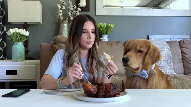 dog with hole chicken