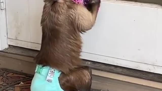Rise and Shine