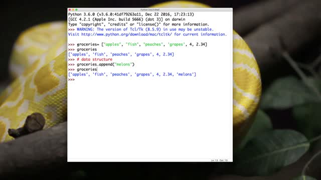 PYTHON_PRO_22._python_lists_-_introduction (1080p)