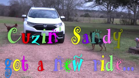 SNAPPIN' GRANNIES - CUZIN' SANDY'S BRAND NEW HONDA HYBRID