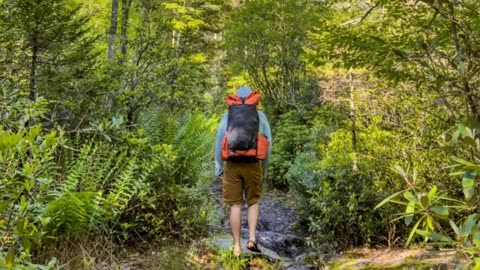 DOGMAN GAVE WV BACKPACKERS A EXPERIENCES THEY WILL NEVER FORGET