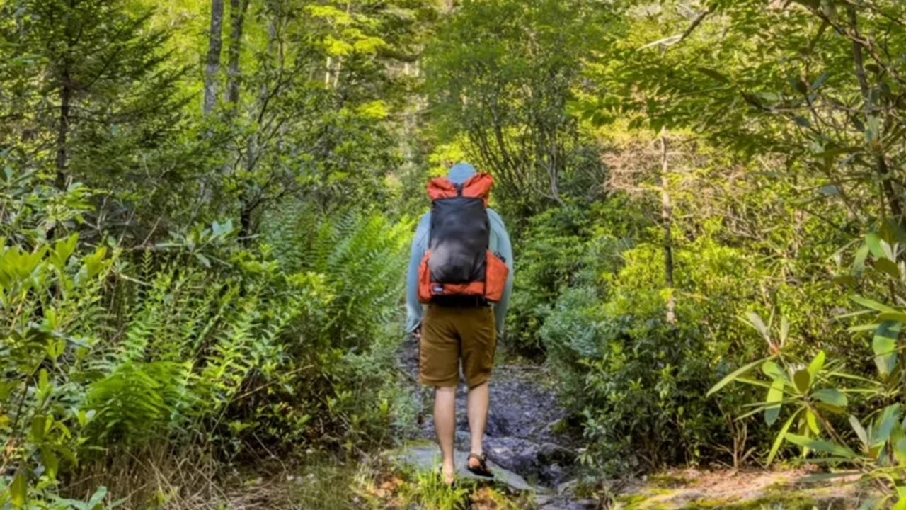 DOGMAN GAVE WV BACKPACKERS A EXPERIENCES THEY WILL NEVER FORGET