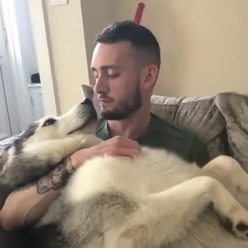 A man plays his dog in a wonderful and fun way