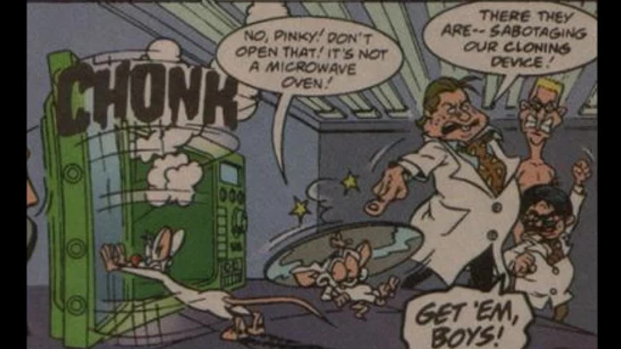 Newbie's Perspective Animaniacs Issues 24 & 28 Reviews