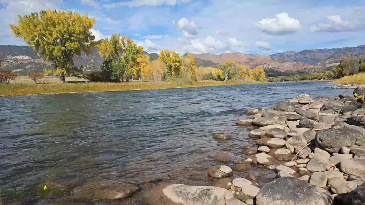 20241020 Colorado River on Nutrient Farm