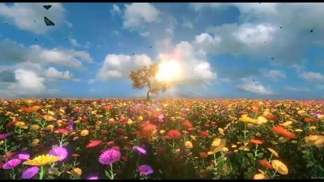 High Definition Nature Relaxing Video 4k Resolution