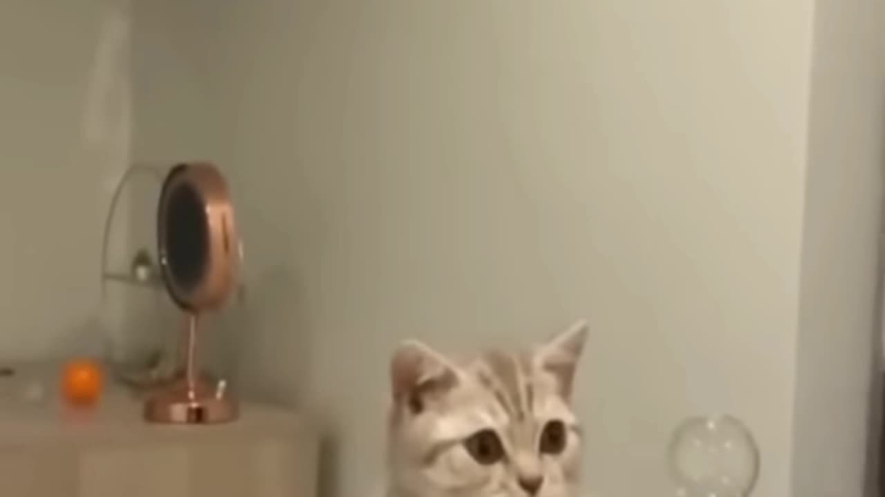 Try to not laugh 😂 moment