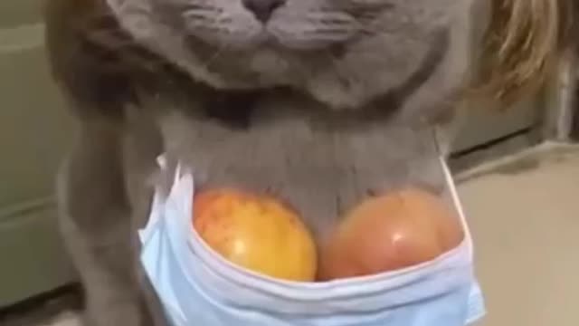 A Little Comic Relief