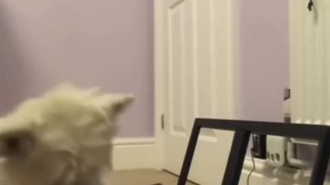 Lisa is playing her favorite music