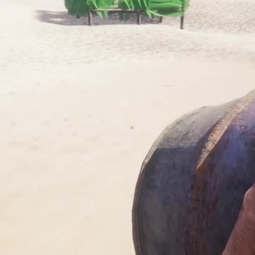 Collect the Poo Project Castaway