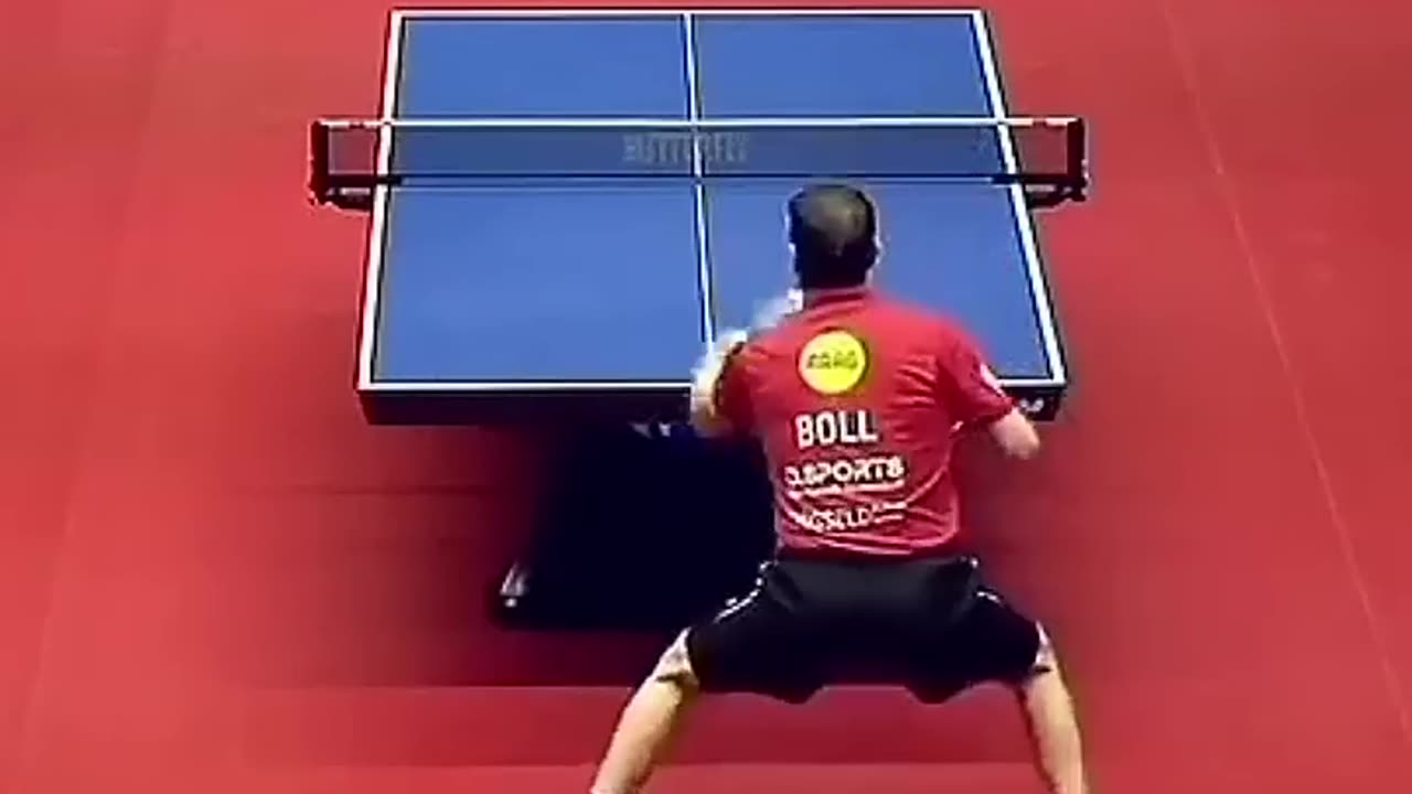 Timo Boll 🤩🤩🤩 #tabletennis #tennis #pingpong #tennisdetable #tenisdemesa #tennistavolo