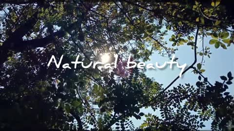 Natural beauty, relaxing