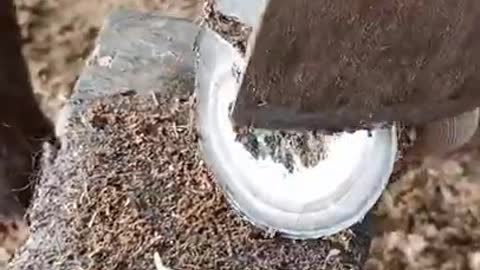 Satisfying Restoration hoof 3