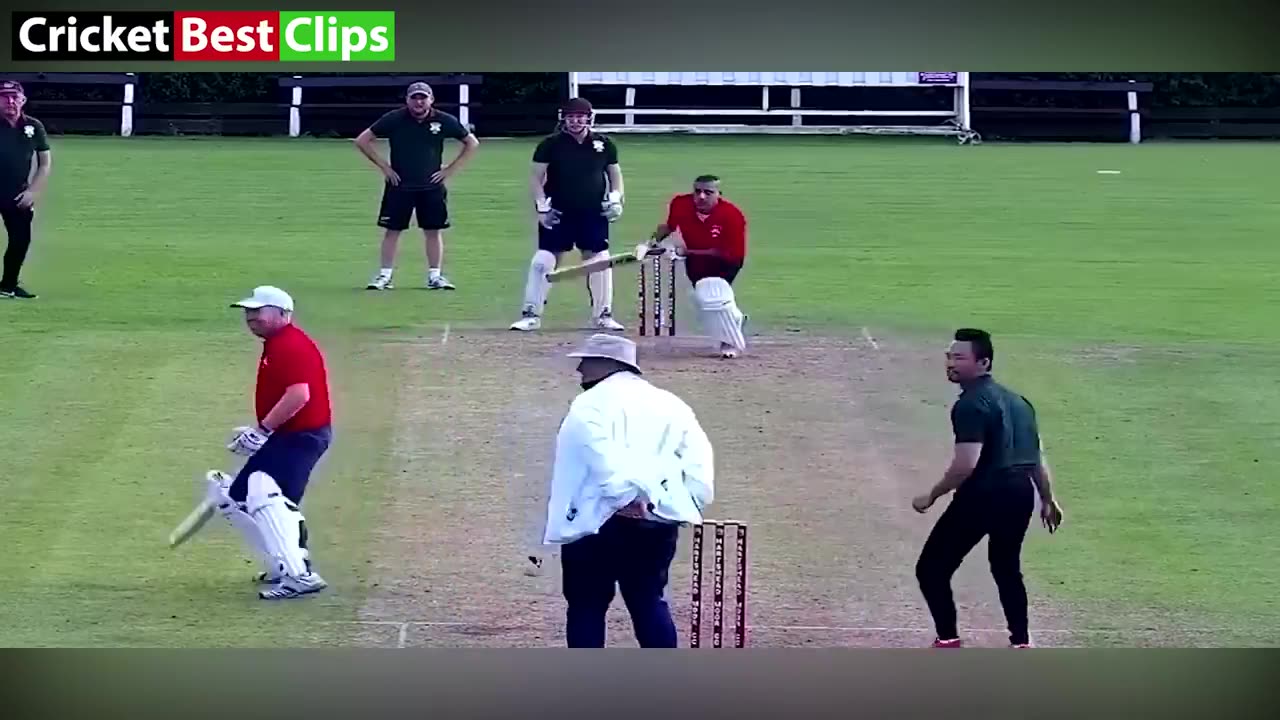 Cricket funny video