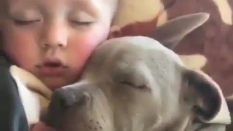 Cute and funny animals