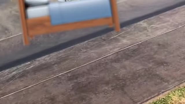 TF?