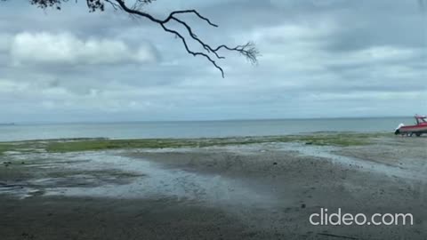 Titirangi Beach Auckland New Zealand Tour