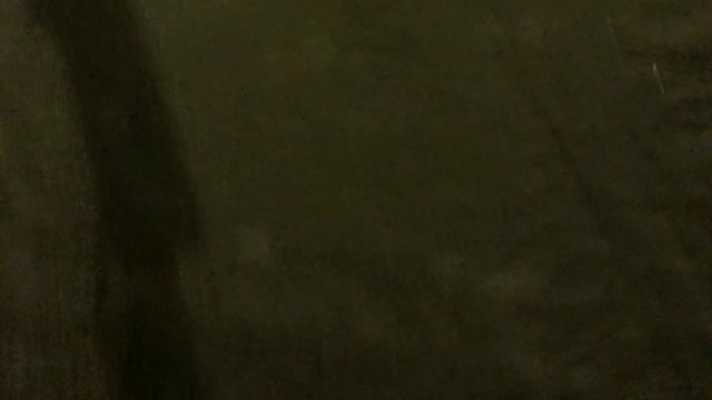 Bird invasion on the beach at night - part 1