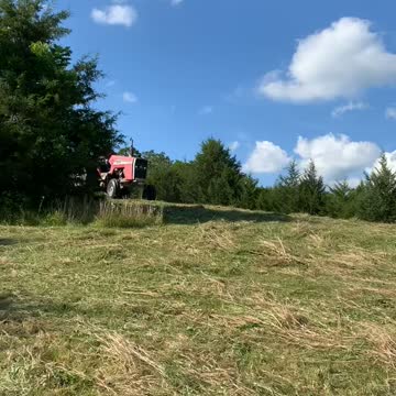 Disc Mowing Hay with the Massey Ferguson 1085