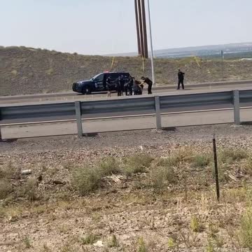 Crazy Police Action Caught on Cellphone Camera