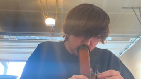 Day 141 pt3 The cats are crazy