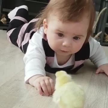 GIVING JESUS FIRST PLACE - DAILY DEVOTIONAL ❤️