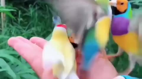 How different everyone