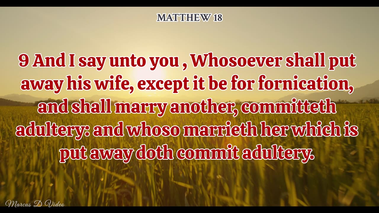 The Gospel of Matthew Ch 19