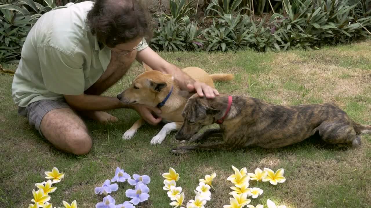 A middle aged man pets two dogs next to flowers that spell love on the grass