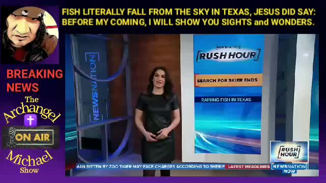 Fish falling from the sky.......