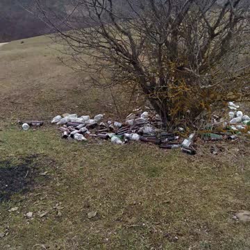 Дерево алкаш