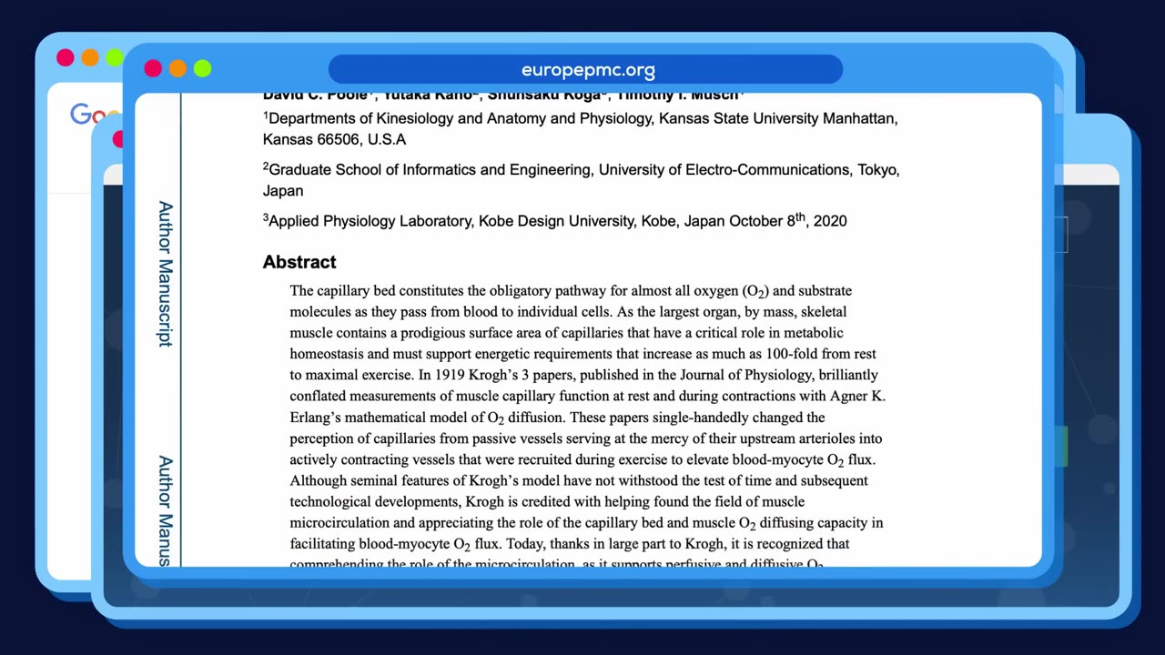 We Fell For The Oldest Lie On The Internet