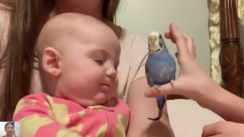 Nice Greeting! Funny Baby Say 'Hi' with Animals But....Just Laugh