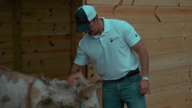 Animal commercial The Tampa Realtor