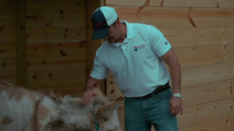 Animal commercial The Tampa Realtor