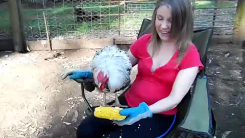 Raewyn the rooster queen