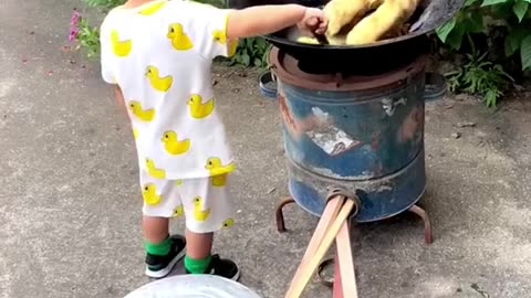 Child playing with chicks