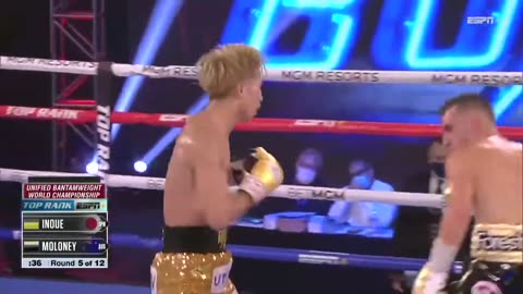 Inoue Vs Moloney Fights | Highlights