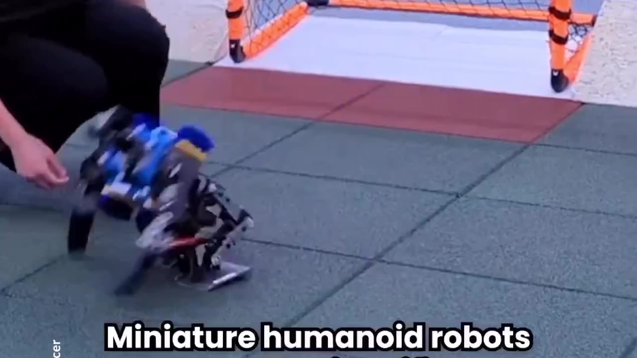 Miniature Humanoid Robot