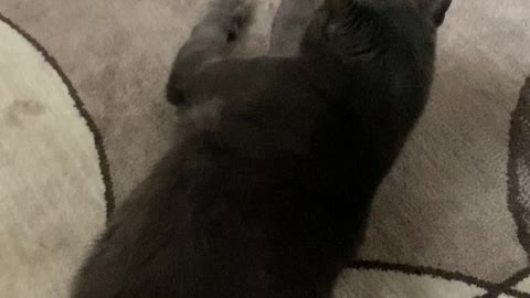 This is what I call live and light! ❤️