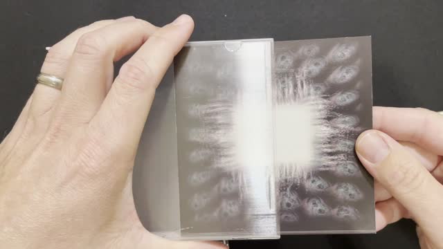 Physical Characteristics Of Tool Albums