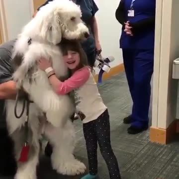 Auditioning to be Santa’s lil pupper...