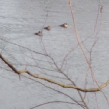 Current view Feb 17, 2022 10:30am EST