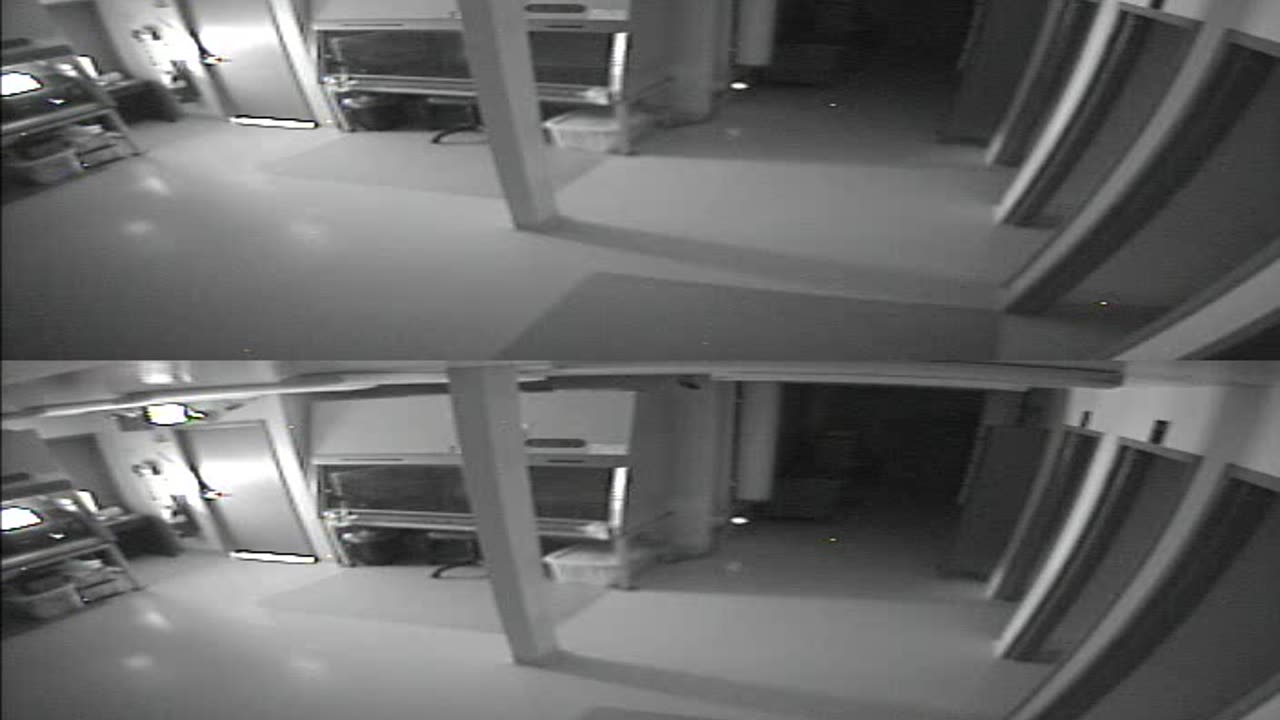 1702CRIB01CribAnalysisArea_2021-01-06_07h00min01s940ms.mp4